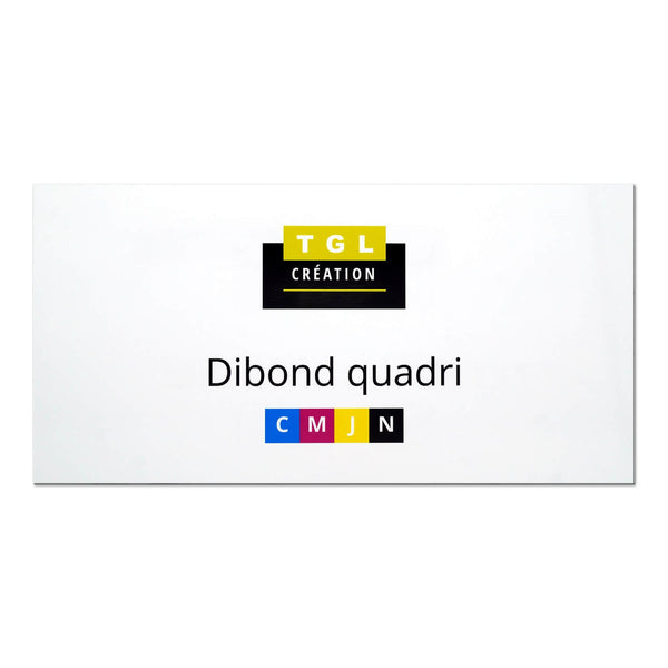 Dibond quadri 60 x 30 cm