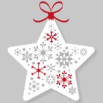 Etoile de Noël