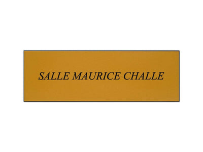Plaque de porte or