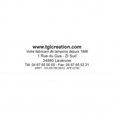 Empreinte Trodat Printy 4915