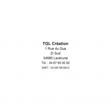 Empreinte Trodat Printy 4923