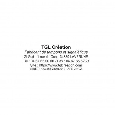Empreinte Trodat Printy 4925