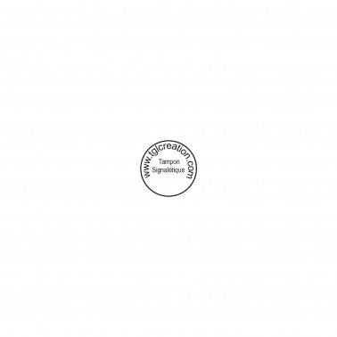 Empreinte Trodat Printy 46019