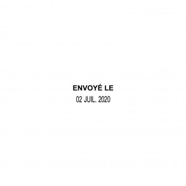 Empreinte Trodat Printy 4850