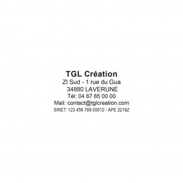 Empreinte Trodat Metal Line 5203