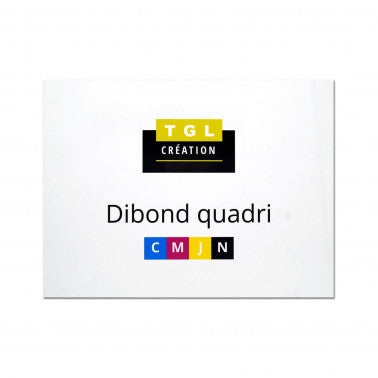 Dibond quadri 40 x 30 cm