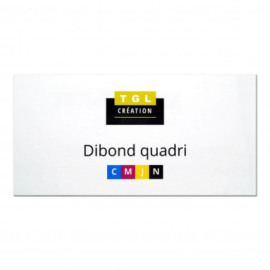 Dibond quadri 60 x 30 cm