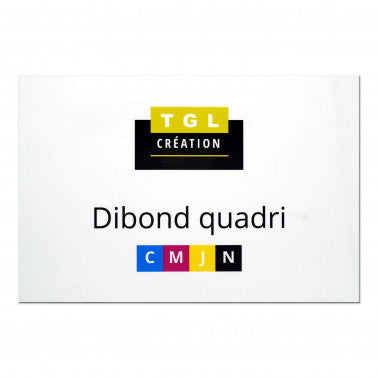 Dibond quadri 60 x 40 cm