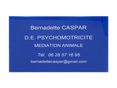 Plaque pro Psychomotricité