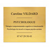 Plaque Psychologue en Laiton